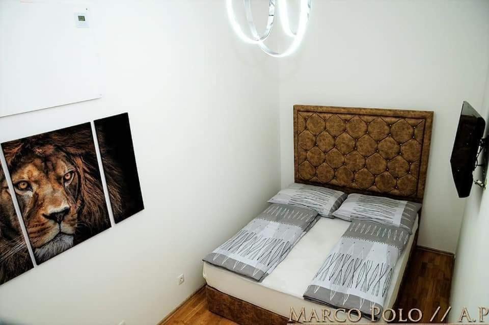 Markopolo Apartments Vienne Extérieur photo